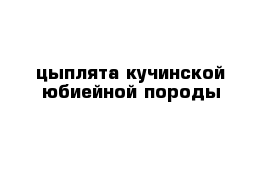 цыплята кучинской юбиейной породы